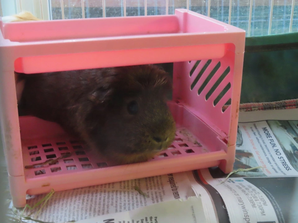 IMG_0184.jpeg