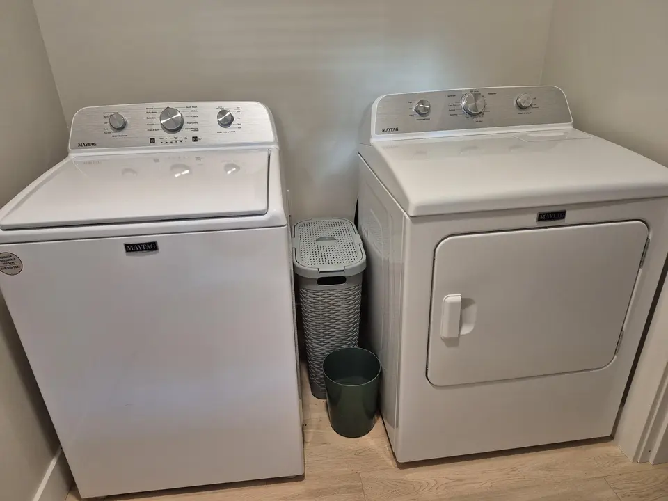 1000034365.jpg