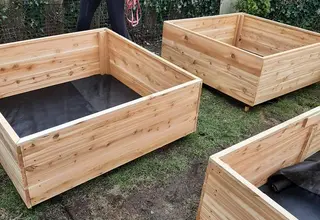 planter three.jpg